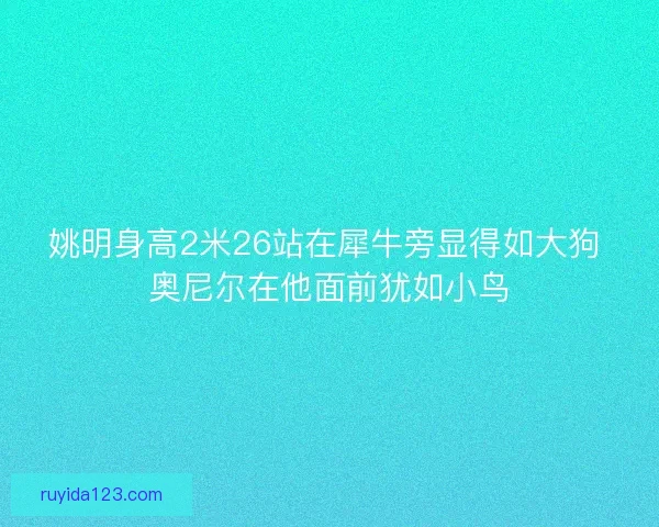 姚明身高2米26站在犀牛旁显得如大狗 奥尼尔在他面前犹如小鸟